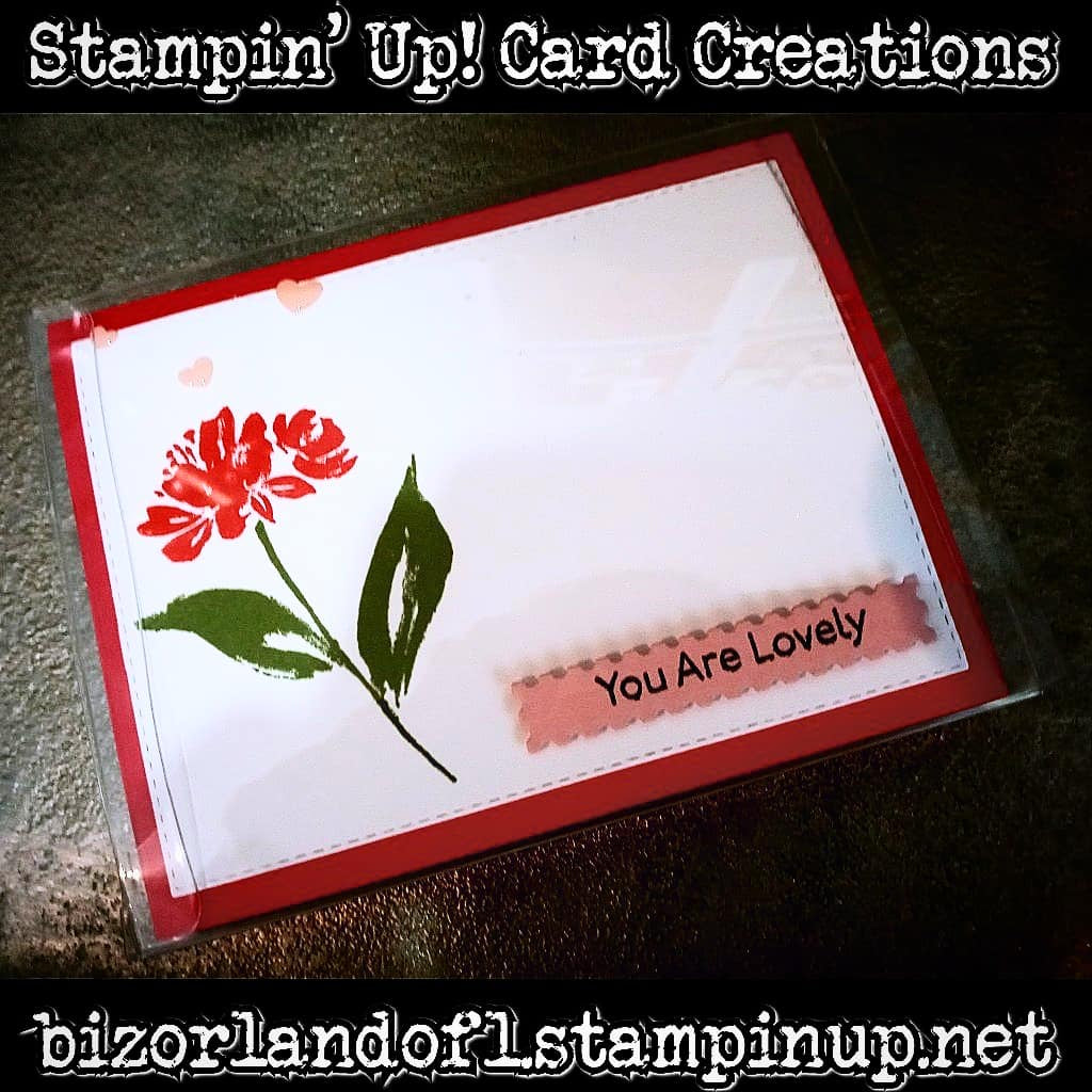 THANK YOU: Handcrafted 3D Book Card by Kathryn McHenry