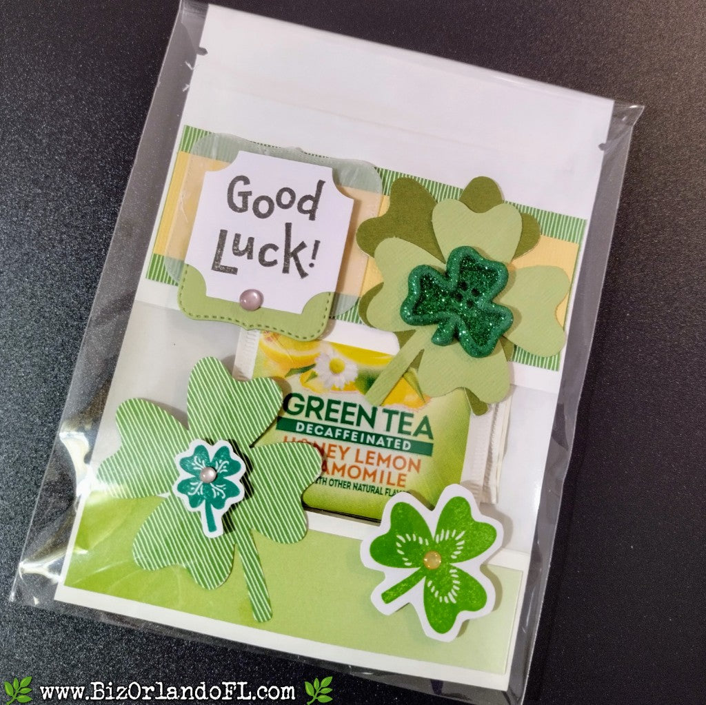 TREAT BAGS: St. Patrick's Day -- Good Luck! Handcrafted Treat Bag by Kathryn McHenry
