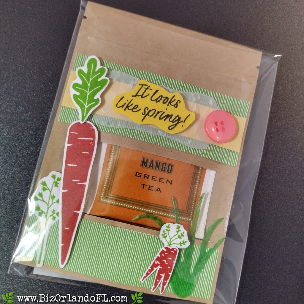 TREAT BAGS: Spring -- It Looks Like Spring! Handcrafted Treat Bag by Kathryn McHenry