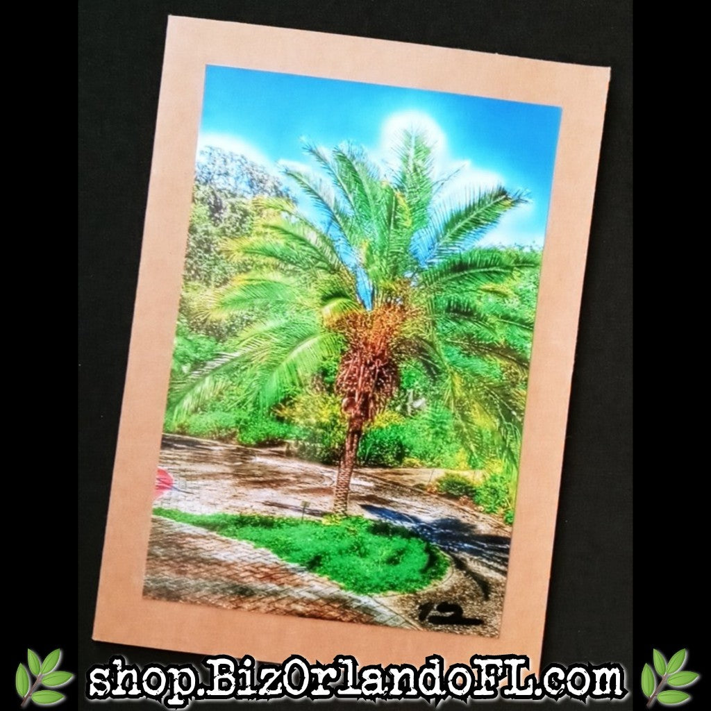 PHOTO CARDS: Limited Edition Leu Gardens Orlando Photo Cards by Kathryn McHenry