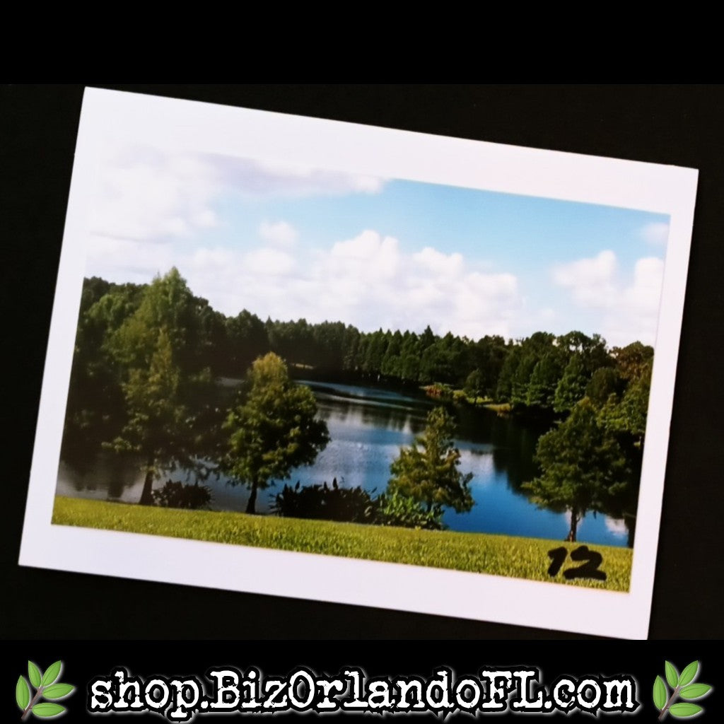 PHOTO CARDS: Limited Edition Orlando Photo Cards by Kathryn McHenry