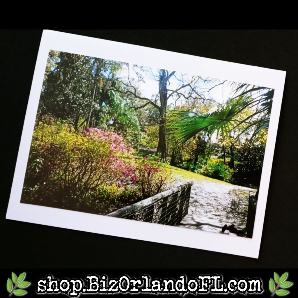 PHOTO CARDS: Limited Edition Orlando Photo Cards by Kathryn McHenry