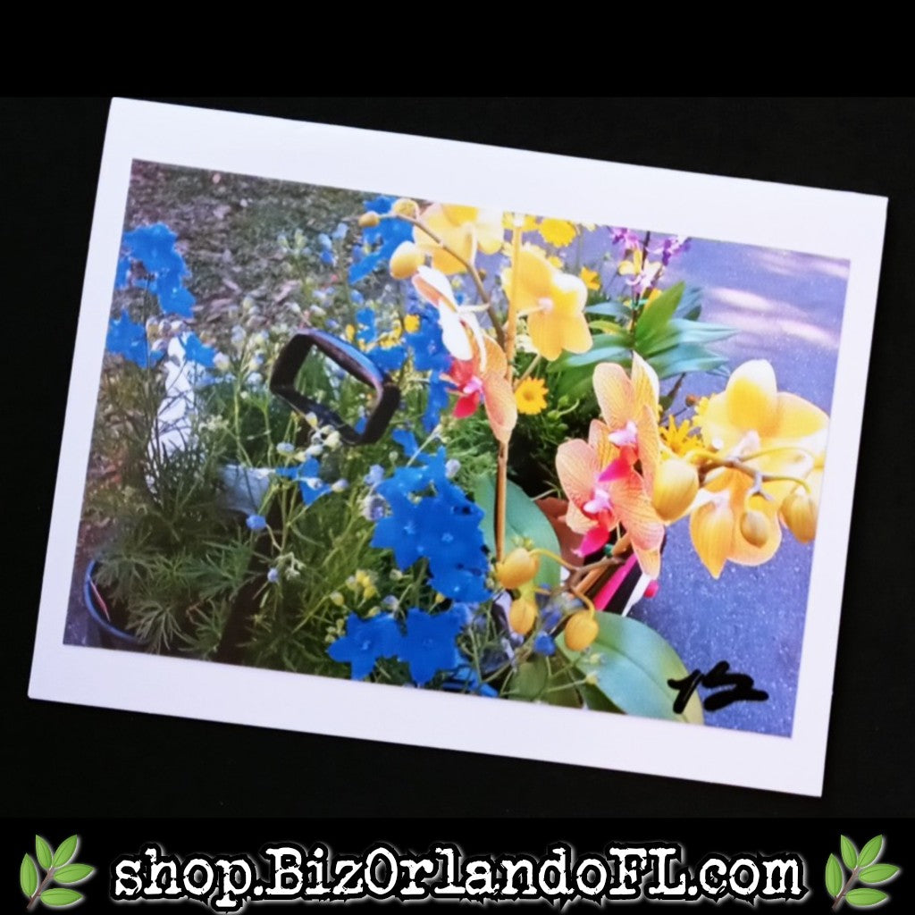 PHOTO CARDS: Limited Edition Orlando Photo Cards by Kathryn McHenry