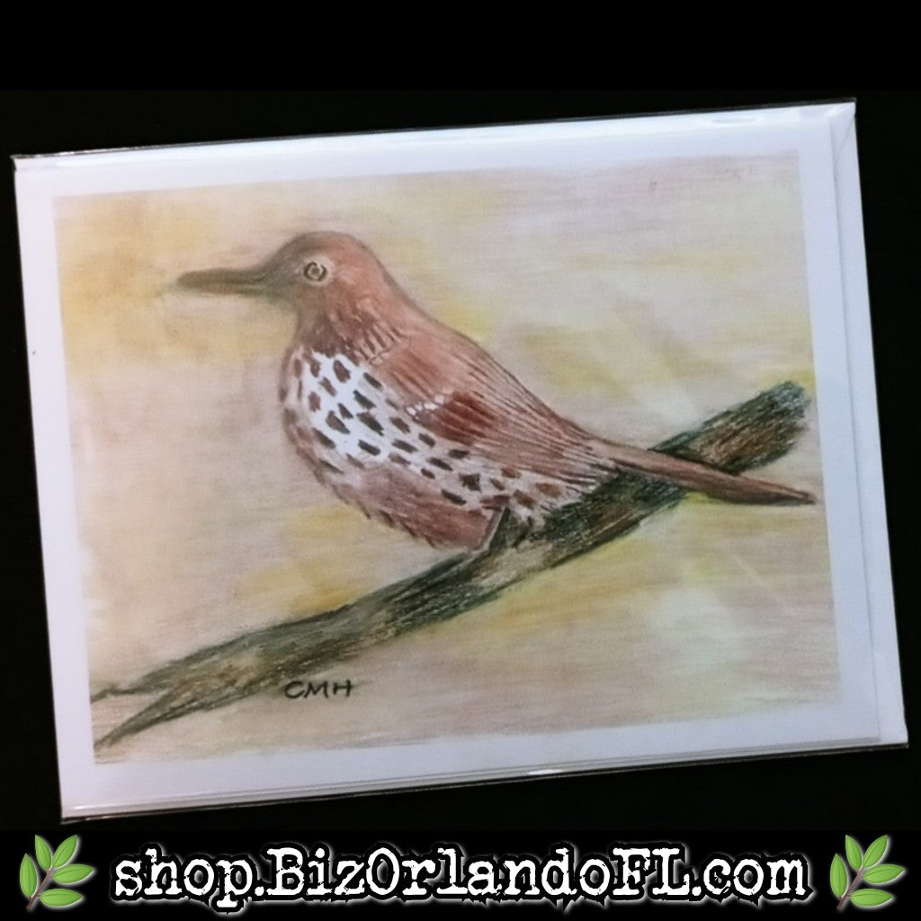 ALL OCCASION: Original Colored Pencil Drawing Print Greeting Card